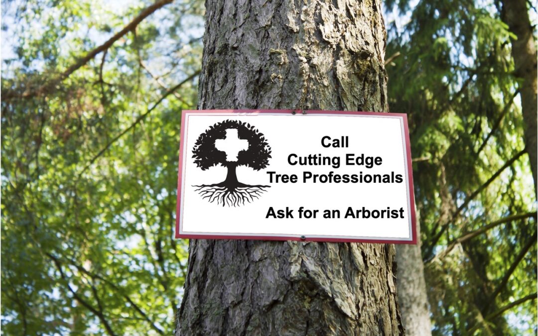 Tree with sign to call Cutting Edge