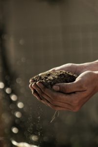 Looking ahead to spring and the aroma of healthy dirt