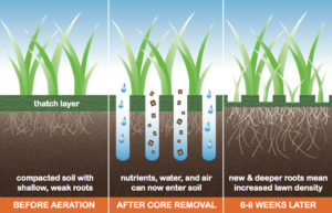 Soil Aeration