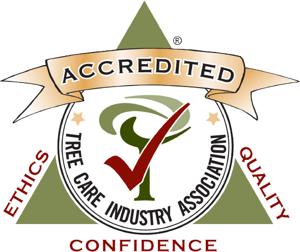 Tree Care Industry Association Accredited for Ethics, Confidence and Quality