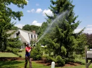 CETP relies on tree and shrub health care specialists to keep our clients green spaces healthy