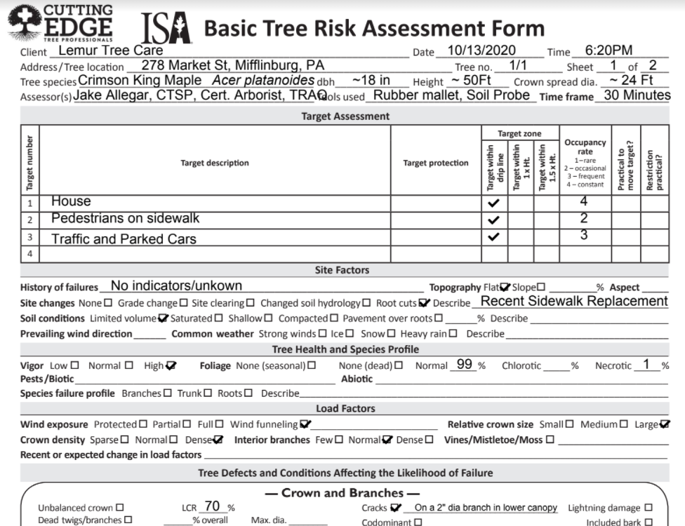 Cutting Edge Tree Professionals Tree Risk Assessment form sample