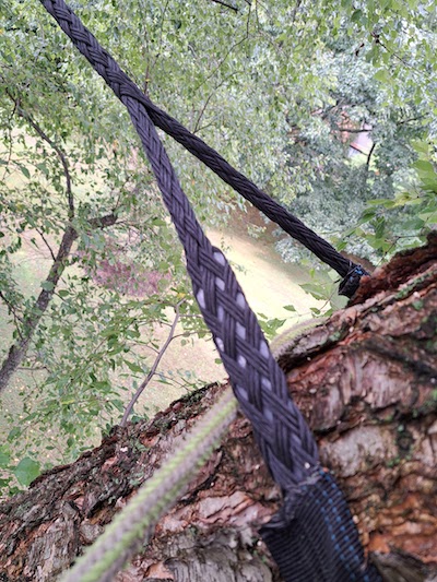 cables keep a tree with naturally weak structure from failing, which can cause injury and damage
