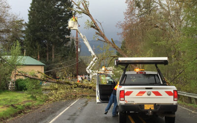4 Tips for How to Clean Your Yard of Trees & Debris After a Storm